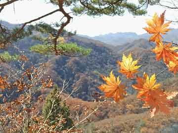 乔任梁父亲墓地遭遇造谣者，真相与谣言的较量，乔任梁父亲墓地遭遇造谣者，真相与谣言的较量